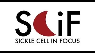 Sickle Cell In Focus Conference Day 1