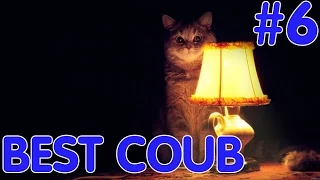 BEST COUB #6 - Лучшие видео апрель 2017. Приколы COUB