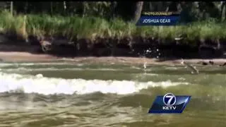 Invasive fish choking Nebraska waterways