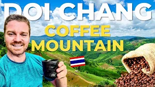 EPIC Adventures at DOI CHANG 🇹🇭 Stunning Thailand COFFEE MOUNTAIN