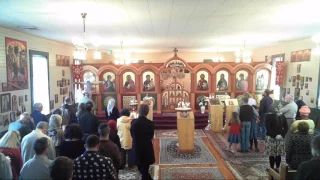 Divine Liturgy 2016-11-20