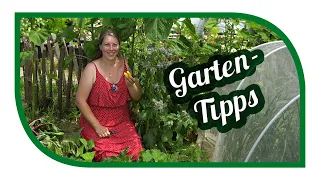 Aussaat & Gartentipps im Juli 🌱 Aussaat ab Juli 🌱 Wintergemüse was jetzt noch im Garten klappt