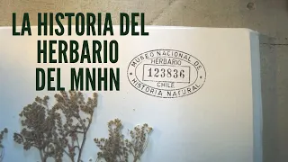 Charla: «La historia del Herbario del MNHN» 🌿🌾