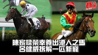 金鎗六十力爭追平傳奇馬王精英大師 陳家樑榮幸養出香港人之馬 呂健威拆解新寵勝利威龍 (CC中文字幕)#賽馬FactCheck