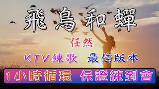 任然 - 飛鳥和蟬 【 KTV 捲動歌詞 】♫ 一小時循環 - 保證練到會 ♪ 中英歌詞 + 拼音♫ Chinese karaoke with lyrics in English and Pinyin