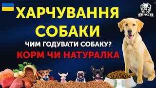 🇺🇦ЧИМ ГОДУВАТИ СОБАКУ? | КОРМ ЧИ НАТУРАЛКА | ПОРАДИ ВІД ЕКСПЕРТА