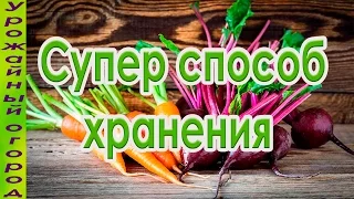 СУПЕР СПОСОБ ХРАНЕНИЯ МОРКОВИ И СВЕКЛЫ!