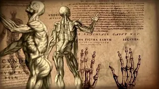 Emperor of All Maladies - Vesalius - Documentary Series