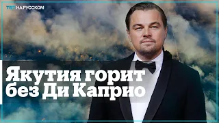 Россиянка призвала Ди Каприо спасти Якутию от пожаров
