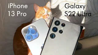 Пример видео Samsung Galaxy S22 Ultra vs iPhone 13 Pro