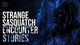 SASQUATCH STORIES - BIGFOOT ENCOUNTER STORIES