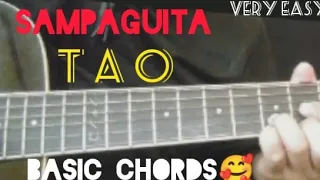 TAO by sampaguita easy Guitar chords tutorial #tao #sampaguita #glendunwell