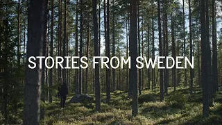 Building one of the world’s tallest wooden buildings – Stories from Sweden