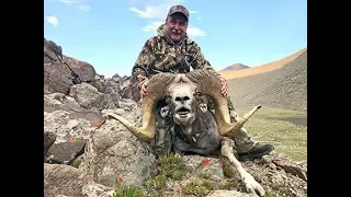 Hunting Altay argali and ibex in Mongolia July 2019