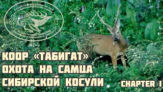 Охота на сибирскую косулю в горах Казахстана ! Часть 1 Каракастек