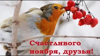 Счастливого ноября, друзья! Позитив для друзей.