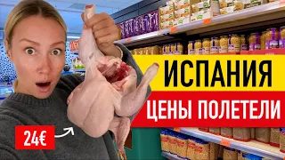 Что происходит в испанских магазинах с ценами? Испания - цены на продукты (январь 2023)