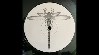 Hallucinogen - L.S.D. EP [1995] Dragonfly Records [Goa Trance]