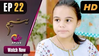 Pakistani Drama | Yateem - Episode 22 | Aplus Dramas | Sana Fakhar, Noman Masood, Maira Khan| C2V1