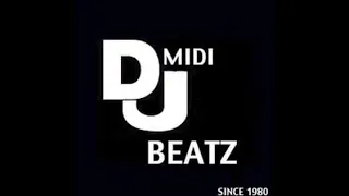 Dj Midi Beatz Fly Away Remix Stem Lenny Kravitz