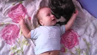 Сute Сat Soothing Crying Baby