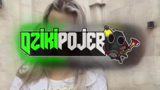 Dziki Pojeb - Changes ( Shuffle Dance Video Mix 2016 )