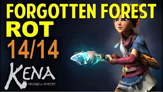 Forgotten Forest Rot Locations | KENA: Bridge of Spirits (Collectibles Guide)