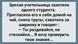 Зрелая Учительница Соблазнила Студента! Сборник Свежих Анекдотов! Юмор!