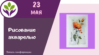 Рисуем цветок ▶ Рисование акварелью