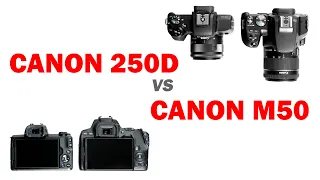 Обзор сравнение Canon 250D vs Canon M50