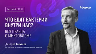 Лекторий «ЭФКО». «Что едят бактерии внутри нас?» – микробиолог Дмитрий Алексеев