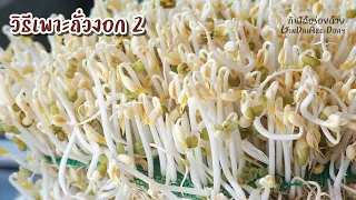How to grow bean sprouts l GinDaiAroiDuay