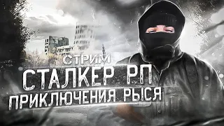 DAYZ ● ФАН СТРИМ ПЕРЕД УЕЗДОМ НА РАБОТУ ● MISERY STALKER RP #dayz #stalkerrp