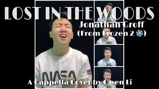 LOST IN THE WOODS - A CAPPELLA COVER (From FROZEN 2)