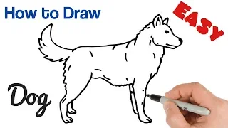 How to Draw a Dog Easy Step by Step | Animals Drawings for Beginners