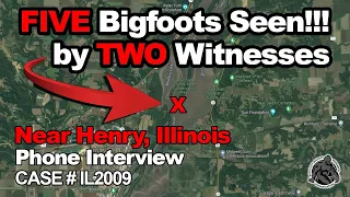 FIVE Bigfoot Seen in the Illinois River by TWO Fishermen! #bigfoot #illinois #scary #shorts #fyp