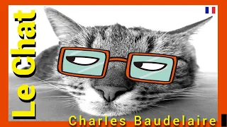 Le Chat - Charles Baudelaire