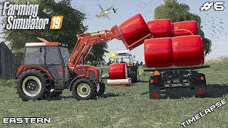 Wrapping the BALES and small BALE storage | Animals on Eastern | Farming Simulator 19 | Episode 6