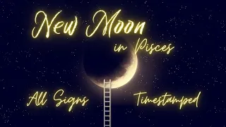 SUPER NEW MOON in Dreamy & Mystical Pisces ~All Signs Energy Update #tarot #astrology #horoscope