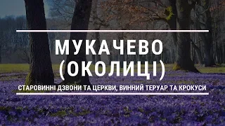 Мукачево (околиці) - старовинні дзвони, дерев'яна церква, винний теруар та парк крокусів