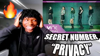 SECRET NUMBER (시크릿넘버) "PRIVACY” MV | REACTION