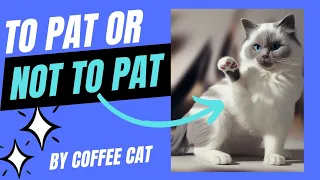 Cat Petting Guide: Dos and Don'ts 🐈😽