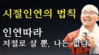 인연 따라 저절로 살 뿐 나는 없다, 상상으로 만든 세계에 의미를 부여할 뿐 | 고독을 즐겨라 #법상스님