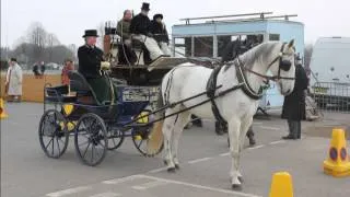 The London Harness Horse Parade 2013