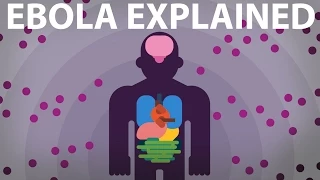 The Ebola Virus Explained — How Your Body Fights For Survival