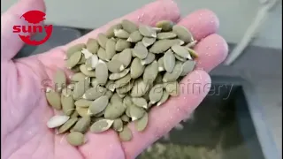 Pumpkin seed peeling & shelling machine