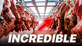 Incredible high-tech sheep slaughterhouse - amazing modern  sheep meat factory processing