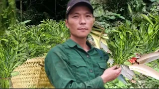 Harvest vegetables goes to the market sell