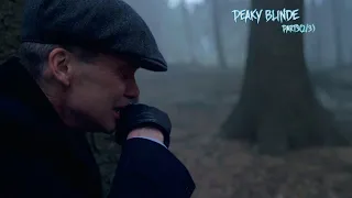 P e a k y B l i n d e r s ┃Ｔｈｏｍａｓ Ｓｈｅｌｂｙ ｗｉｌｌ ｂｅ ｆｉｎe...Part 3(Часть 2/3)