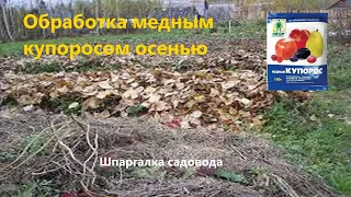 Медный купорос, обработка сада осенью.